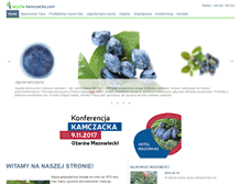 Tablet Screenshot of jagoda-kamczacka.com